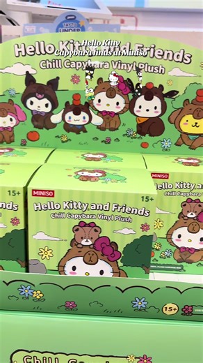 Unboxing Hello Kitty Capybara Blind Box Surprises