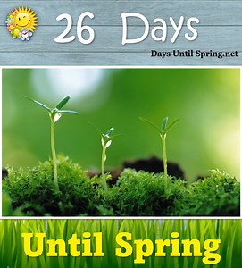 14K views · 601 reactions | The Countdown to Spring    https://daysuntilspring.net   . #Spring #Spring2025 #SpringCountdown #countdown #sunandfun #CountdowntoSpring | Spring Countdown | Facebook