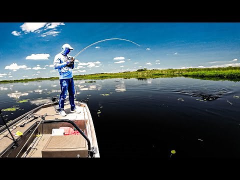 How to Catch More Bass with Swimbaits (Beginner to Pro Guide)