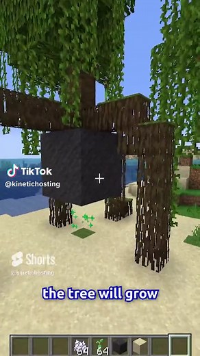 How to Grow Mangrove Trees in Minecraft