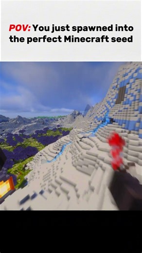 POV: You spawned into the perfect minecraft seed