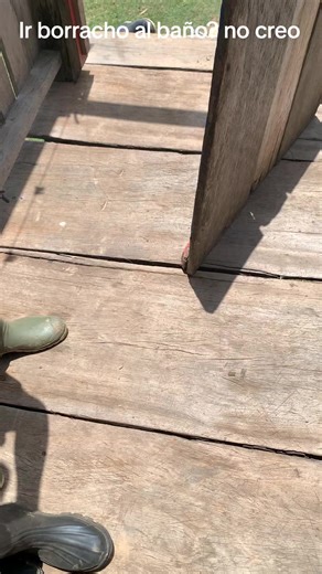 Ir borracho al baño: ¿mito o realidad?
