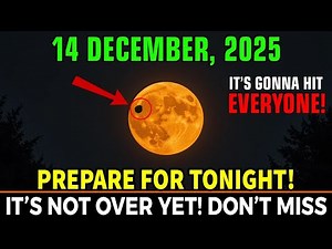 Strange Symptoms After Full Moon: The 12/12 Portal Isn’t Over Yet! 14th December