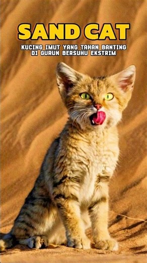 THIS CUTE CAT IS A POWERFUL HUNTER🐱💪 #Shorts #animals