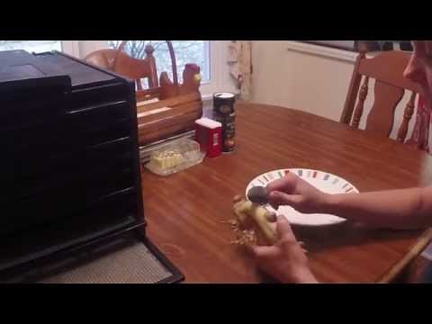 Dehydrating Fresh Ginger | How To