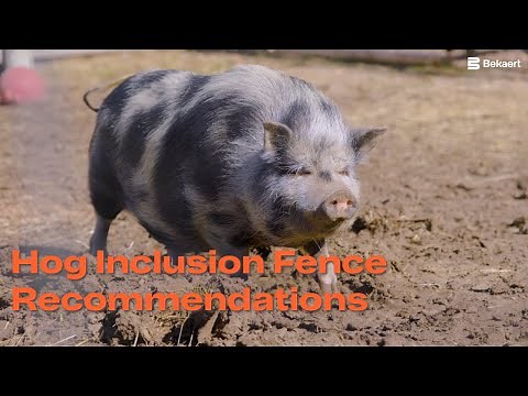 Fence Recommendations for Hogs/Pigs | Bekaert Fencing