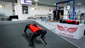 Vidéo. "AlphaDog", le robot-chien chinois le plus rapide du monde