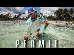 FISHING AT MY FAVORITE SPOT [TULUM, MEXICO] [BONES & PERMIT]