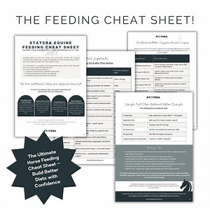 Aide-mémoire pour l'alimentation des chevaux | Guide de nutrition équine | PDF imprimable pour une alimentation équilibrée du cheval, du fourrage, des suppléments et des conseils d'alimentation - Etsy France