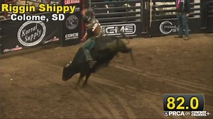 11K views · 665 reactions | Riggin Shippy was the captain at the Badland Circuit Finals, winning the bull riding with 165 points on two head. | PRCA ProRodeo | Facebook
