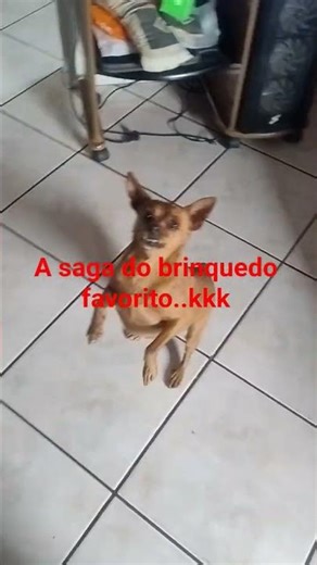 13 de dezembro de 2025