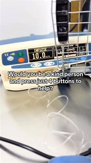 Health Pets Resc on Instagram: "💔 14 days of internment. I was grateful to get a small discount on the accommodation — every bit mattered. But as I looked at the bills again, I realized I still need to cover external and internal deworming… and only wet food is allowed for another month. Sometimes it feels like I’m doing endless math just to keep them safe and healing. 🐾 If you’d like to help, please click the link in our bio to donate. 🕊️ Every little bit truly helps — t