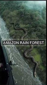 Amazon Rain Forests #amazonforest #snake #wildlife #animals #nature #facts