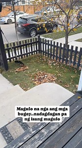 2.6M views · 8.6K reactions | Fall clean up!  | AJ’s and ME | Facebook