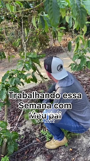 filipegalle no TikTok