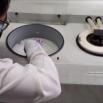 Optimized Quantitative Proteomics for Tissue - JoVE Journal