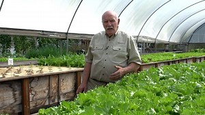 145K views · 6.4K reactions | Lots of people keep asking us "What is Aquaponics?" Here's Murray Hallam explaining the process. Remember our next Online Course starts on the 7th March 2021. https://www.aquaponicsdesigncourse.com/ | Aquaponics Design Course | Facebook