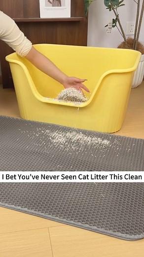 103K views · 250 reactions | The Litter Box Hack Every Cat Owner Needs #CatLitter #NoStickLitter #ClumpingLitter #CleanLitterBox #CatCare #PetCare #PetLovers #litterbox #cats #CatLitterBox #catlover #litièrepourchat #Katzenstreu #lettierapergatti #arenaparagatos #kattenbakvulling #άμμοςγιαγάτες #żwirekdladlakota | Glampawstore | Facebook