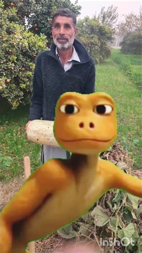 Green alien dance original video, Dame tu costa TikTok 2022 dance challenge,patila dance video(13)