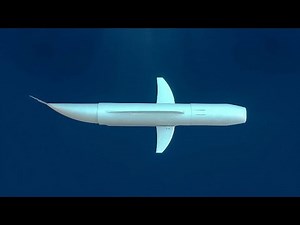 Belle, the inobtrusive AI robot fish, is helping researchers to protect our marine ecosytems