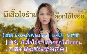【泰国歌曲】【演唱 Ekkwan Waranya→艾克万 ·瓦兰亚】【曲名  ผีเสื้อใจร้ายกับดอกไม้ใจอ่อน→无情的蝴蝶和温柔的花朵】