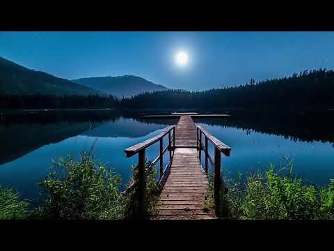 Meditation Music / Relaxing Music With Loon Calls