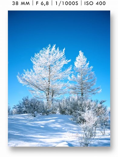 Hoarfrost’s serene beauty unfolds uniquely through each lens, with every focal length offering a fresh perspective on winter’s quiet artistry. ❄️ 📷 Kinoko 📸 X2D 100C Earth Explorer Limited Edition，XCD 38V&55V&90V #Hasselblad #X2D100C #WinterBeauty #FrozenNature #QuietArt