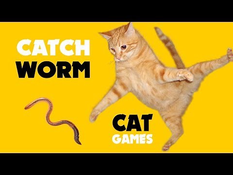 Games for cat ★ Catching WORM on screen