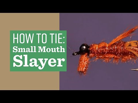 The Small Mouth Slayer: Perfect Fly Pattern for Smallmouth Bass, Larrys, even Carp!