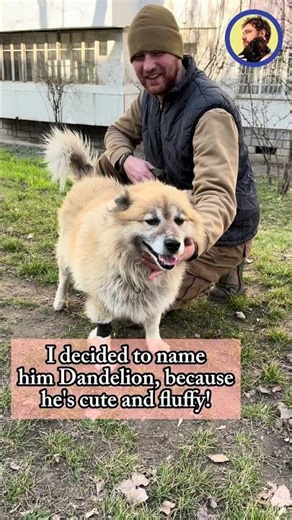 I want to call this rescue dog Dandelion. What do you think?