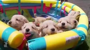 Cuteness overload! | Hot or Not