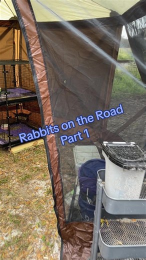 Join me as i set up my rabbitry at our rv in central FL! #farmtok #rabbitsoftiktok #ontheroad #rvlife
