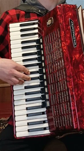 Unity – Alan Walker – Accordion Cover 🪗 #akkoplay