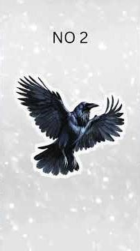 2025 Highlights: Top 3 Digital Art Designs & Where They Were Loved Most #2026 #thankyou #bestseller