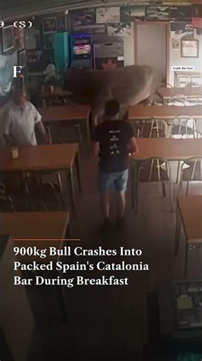 900kg Bull Crashes Into Packed Spain's Catalonia Bar During Breakfast | Firstpost News | N18G