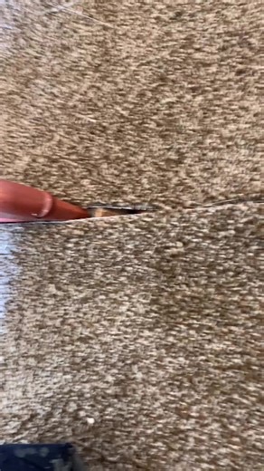 Ever wonder how carpet is bonded together well this is how #seam #carpet