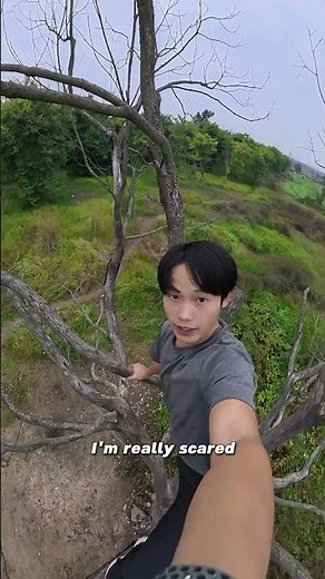 Everyone should be able to climb a tree.#parkour #stunt #sports #roblox #climbing #pov #shorts