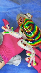 GIANT Tie Dye Frog Unmolding 🐸✨🌈 #crafting #fyp #art #resinart #resin #resinunmolding #fypシ #resinartist #unmolding #frog #froggie #forg #frogtok #frogs #tiedye #rainbow #neon #letsresin | Jakielantern