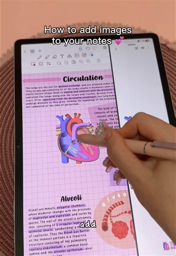 Add Images to Your Notes Using Penly App