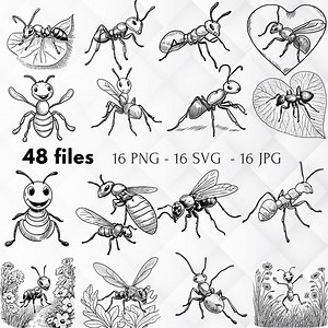 Cute Ant Clipart Bundle | High-quality Illustrations (digital Download) - Etsy UK