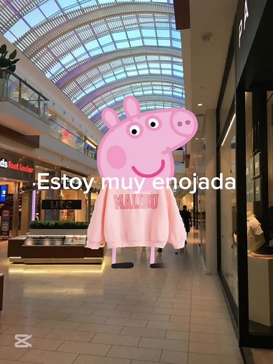 peppa_asthetic on TikTok