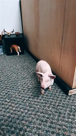 ☆schleich horses☆ on TikTok