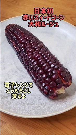 【レンジで簡単】電子レンジでとうもろこし蒸すよ☆日本初の赤いスイートコーン大和ルージュ#cooking#recipe#shorts
