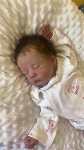 Exploring the Reborn Doll Community