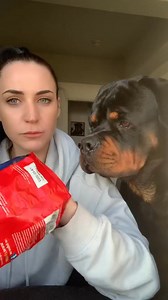 44K views · 1K reactions | Life with dogs part2 #foryourpage #doglover #foryou #fyp #rottweiler #dogsofinstagram #puppy #pet #trend | The Gang Rottie | Facebook
