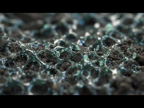 Terraforming a Red Planet: First Life Emerges (POV ASMR)