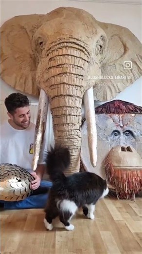 Behind the scenes - CARDBOARD art 📦♻️🐘 #fyp #foryoupage #cardboardsculpture