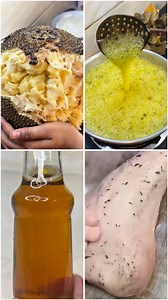 2M views · 15K reactions | কাঠালের ভেতর থেকে এমন তেল উঠছে যেটা শরীরের সব ময়লা তুলে দিয়ে ফর্সা করে দিচ্ছে মাত্র ৫ মিনিটে #কাঠালেরবিচিরতেল #তেল #ফরসা #skinbright | Sultana's Cook | Facebook