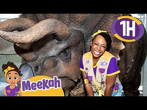 Meekah's Dinosaur Adventures! | Educational Videos for Kids | Blippi and Meekah Kids TV - Videos For Kids