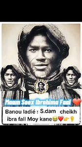 Thiey ibra fall lamp🥰 | Akhlou Baye Fall. masé roy si mm cheikh ibra fall